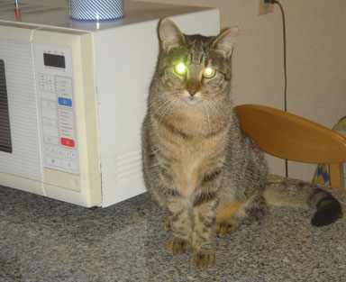 Niki
